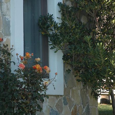Mavikarga Bozcaada Bed & Breakfast Luaran gambar