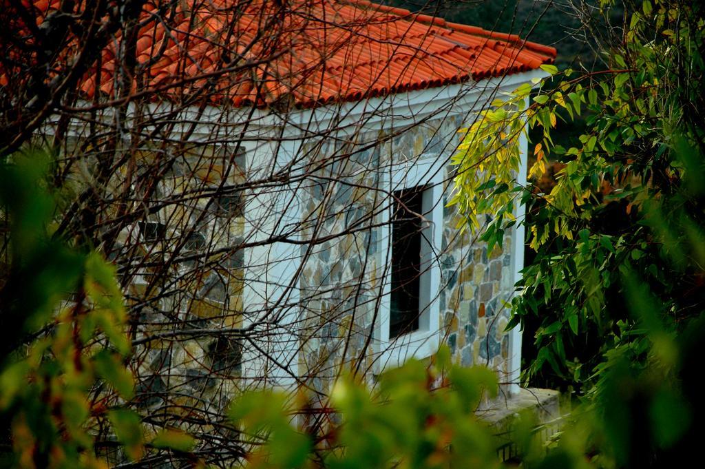 Mavikarga Bozcaada Bed & Breakfast Luaran gambar